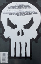 Load image into Gallery viewer, Punisher Kills The Marvel Universe #1 Comic Book Cover Art