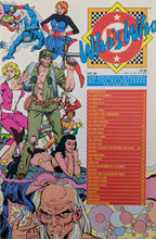 Load image into Gallery viewer, Who's Who: The Definitive Directory Of The DC Universe #20 Comic Book Cover Art by Paris Cullins