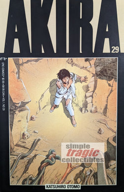 Akira #29 Comic Book Cover Art by Katsuhiro Otomo