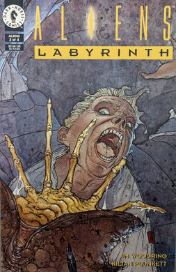 Aliens Labyrinth #3 Comic Book Cover Art by Kilian Plunkett