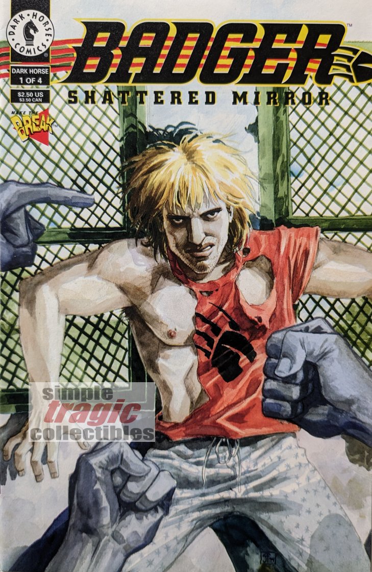 Badger: Shattered Mirror #1 Comic Book Cover Art by Jill Thompson