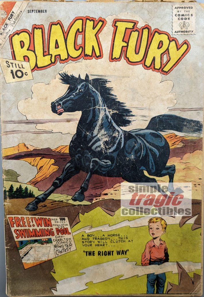 Black Fury #32 Comic Book Cover Art by Ernie Hart