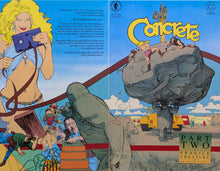 Load image into Gallery viewer, Concrete: Fragile Creature #2 Wraparound Comic Book Cover Art by Paul Chadwick
