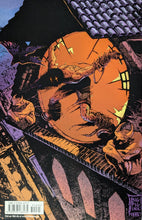 Load image into Gallery viewer, J. Obarr's The Crow #0 (1998) A Cycle Of Shattered Lives Comic Book Back Cover Art by James O'Barr
