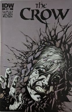 The Crow Death and Rebirth #5 Comic Book Cover Art by Kyle Hotz