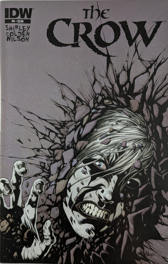 The Crow Death and Rebirth #5 Comic Book Cover Art by Kyle Hotz