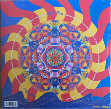 Load image into Gallery viewer, THE ELECTRIC MAYHEM Vinyl Record Back Covet Art
