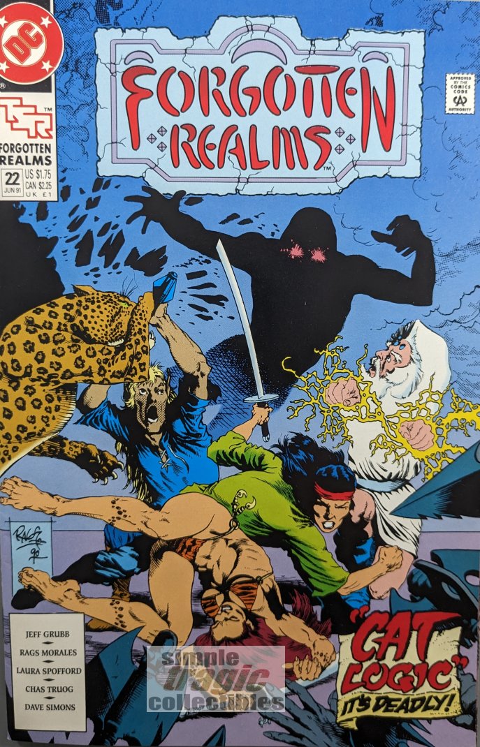 Forgotten Realms #22 Comic Book Cover Art