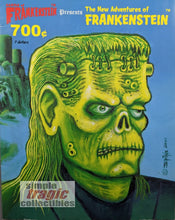 Load image into Gallery viewer, The New Adventures Of Frankenstein Magazine #1 Cover Art by Rick Mountfort
