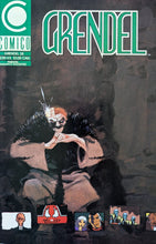 Load image into Gallery viewer, Grendel #38 Comic Book Cover Art by Tim Sale
