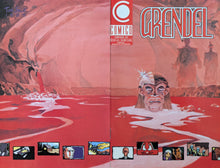 Load image into Gallery viewer, Grendel #39 Comic Book Wraparound Cover Art by Tim Sale
