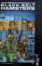 Load image into Gallery viewer, Adolescent Radioactive Blackbelt Hamsters #2 Comic Book Cover Art by Chris Parsonavich
