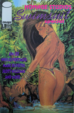 Homage Studios Swimsuit Special #1 Comic Book Cover Art by Jim Lee and Brian Stelfreeze