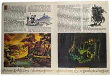 Load image into Gallery viewer, The Lord Of The Rings Animated Film Press Kit Interior Art
