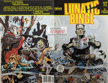 Load image into Gallery viewer, Lunatic Fringe #2 Comic Book Cover Art by Jack Davis
