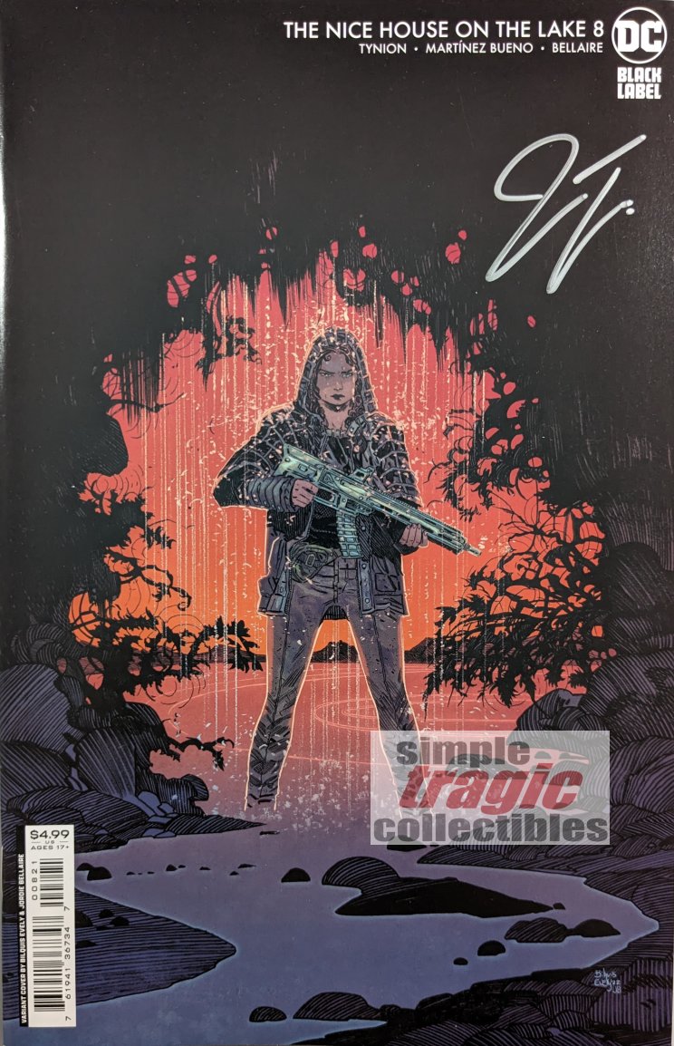 The Nice House On The Lake #8 Variant Comic Book Cover Art by Bilquis Evely