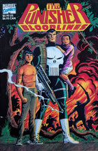 Load image into Gallery viewer, Punisher: Bloodlines Trade Paperback Cover Art by Dave Cockrum
