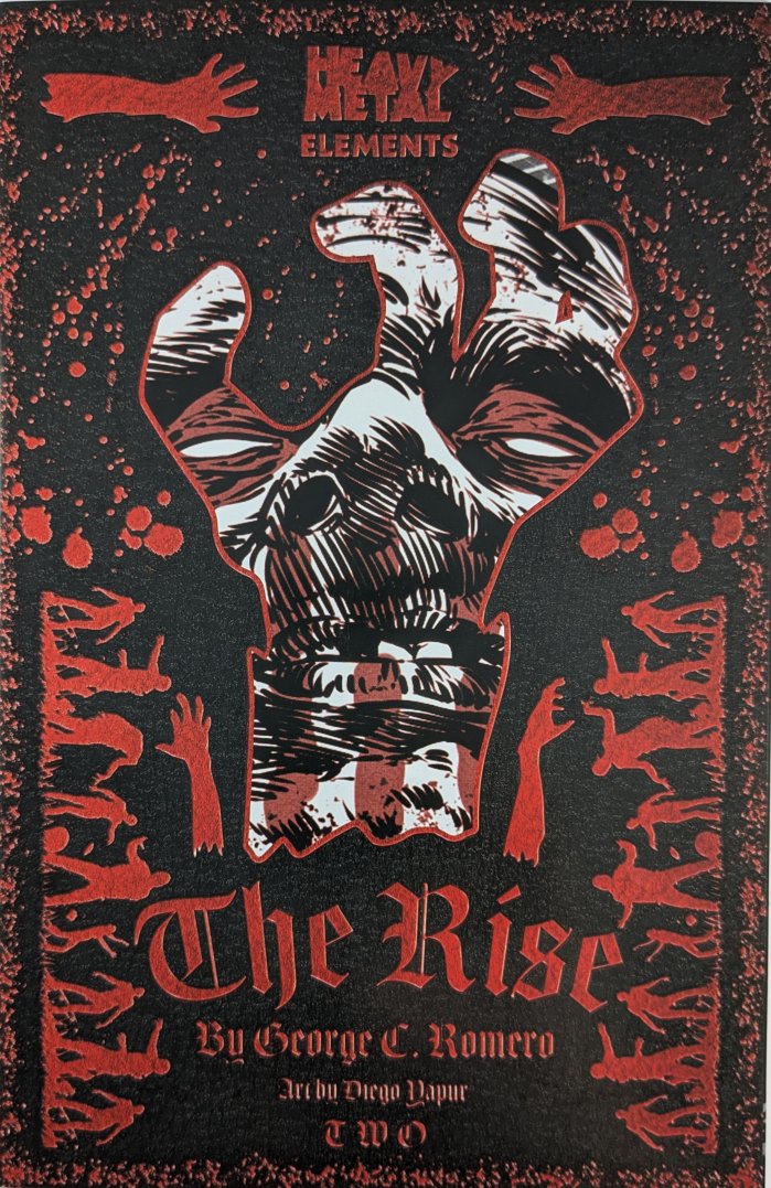 The Rise #2 Comic Book Cover Art by Diego Lapur
