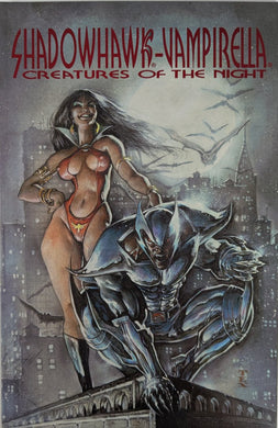 Shadowhawk - Vampirella: Creatures Of The Night Comic Book Cover Art by Mark Texeira