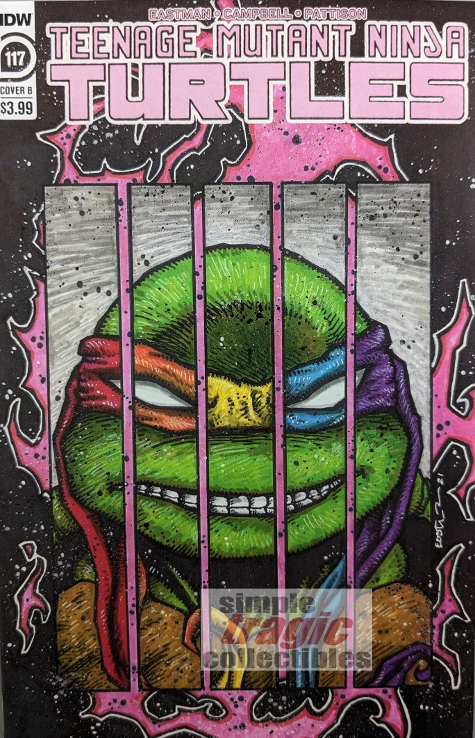 Teenage Mutant Ninja Turtles #117 Pride Variant Comic Book Cover Art by Kevin Eastman