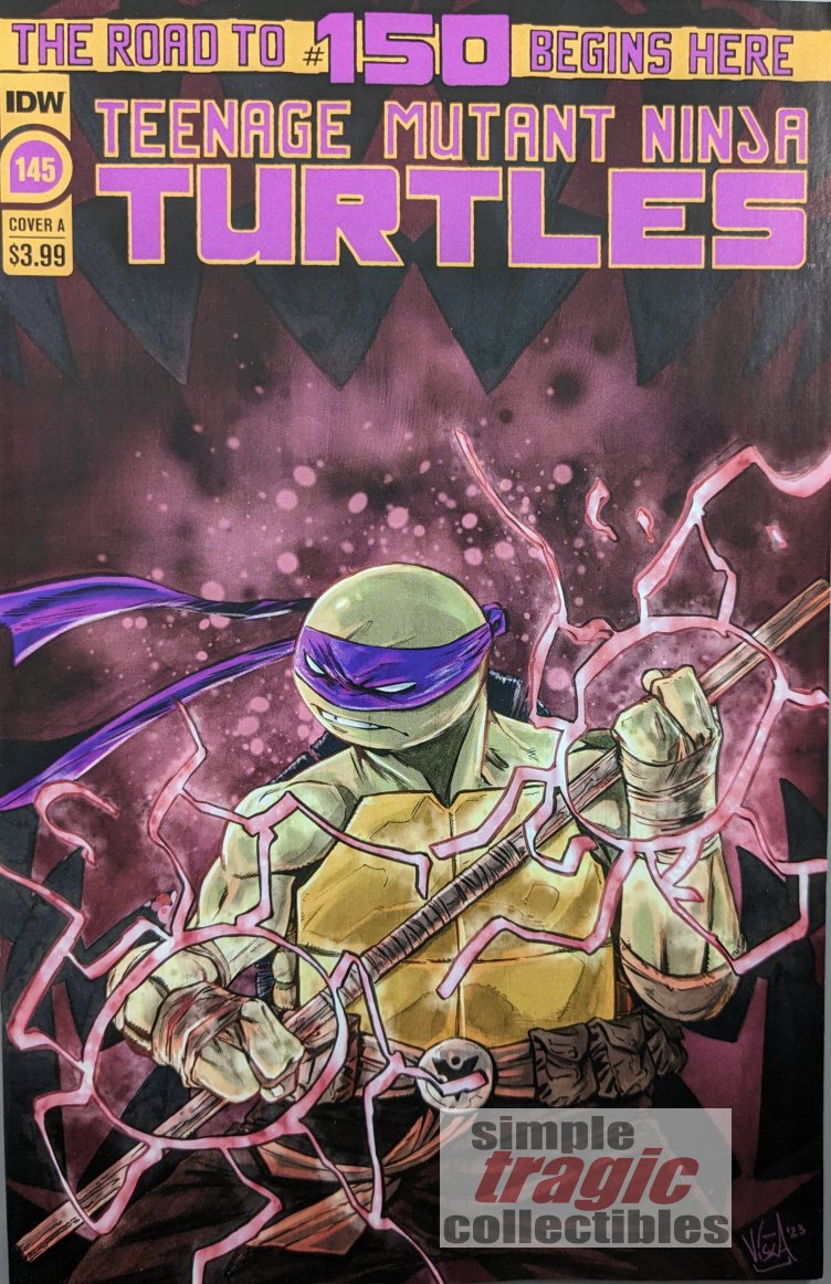 Teenage Mutant Ninja Turtles #145 Comic Book Cover Art by Vincenzo Federici
