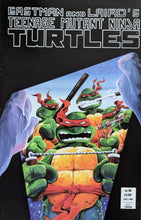 Load image into Gallery viewer, Teenage Mutant Ninja Turtles #16 Comic Book Cover Art by Mark Martin
