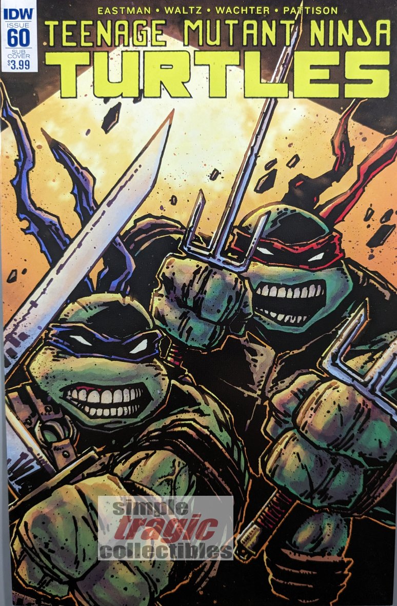 Teenage Mutant Ninja Turtles #60 Comic Book Cover Art by Kevin Eastman