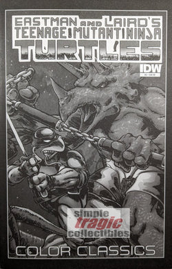 Teenage Mutant Ninja Turtles: Color Classics #6 Comic Book Cover Art by Kevin Eastman