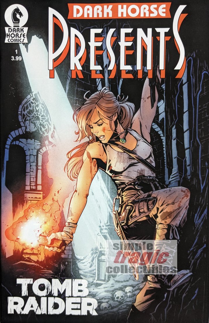 Tomb Raider #1 Variant Comic Book Cover Art by Joelle Jones