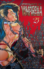 Load image into Gallery viewer, Vengeance Of Vampirella #25 Comic Book Cover Art by Joe Quesada
