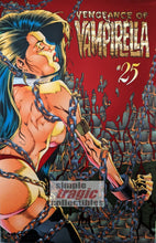 Load image into Gallery viewer, Vengeance Of Vampirella #25 Comic Book Cover Art by Joe Quesada
