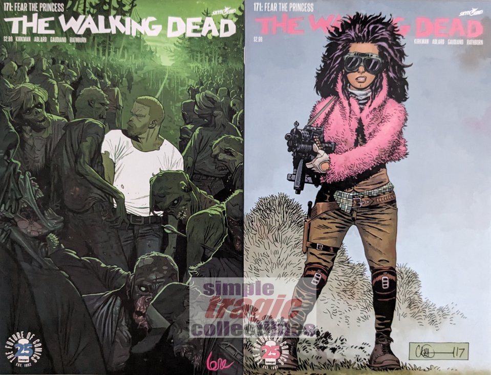 The Walking Dead #171 Comic Book Cover Art