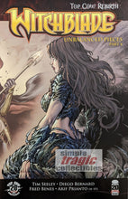 Load image into Gallery viewer, Witchblade #154 Comic Book Cover Art by Diego Bernard
