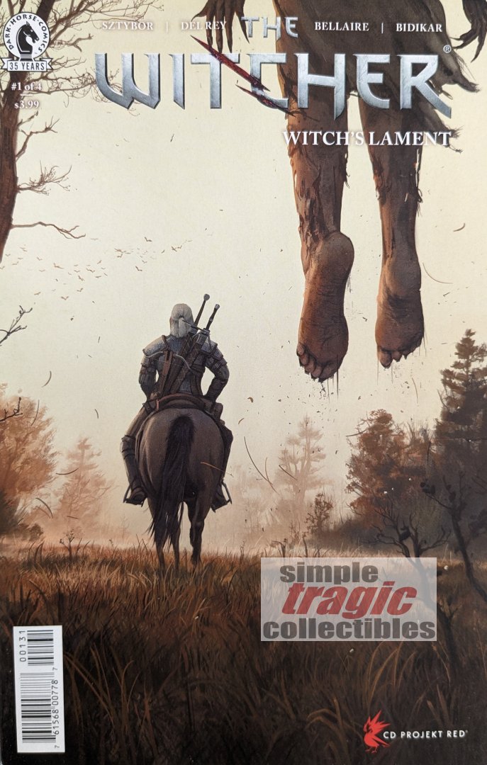 The Witcher: Witch's Lament #1 Comic Book Cover Art by Vanesa R. Del Rey