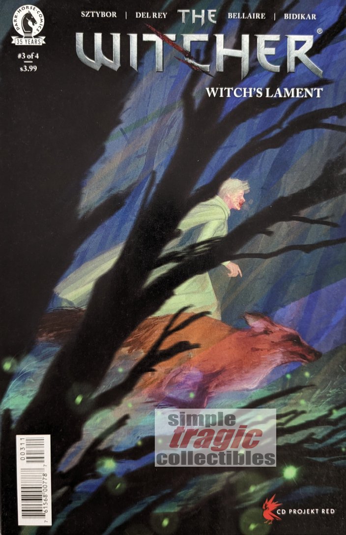 The Witcher: Witch's Lament #3 Comic Book Cover Art by Vanesa R. Del Rey