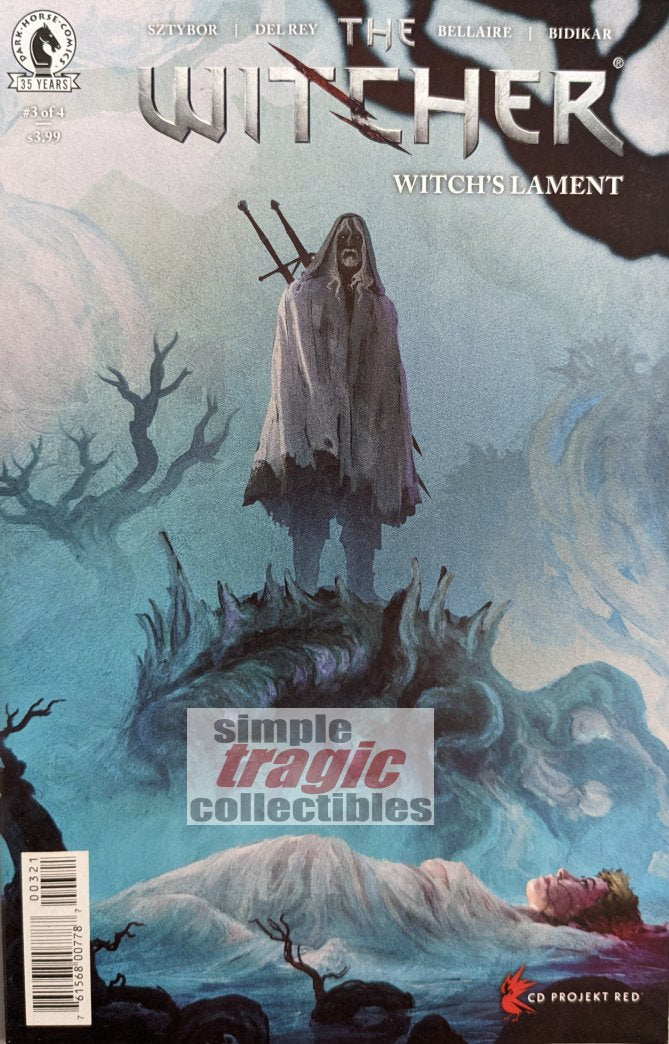 The Witcher: Witch's Lament #3 Comic Book Cover Art by Anato Finnstark