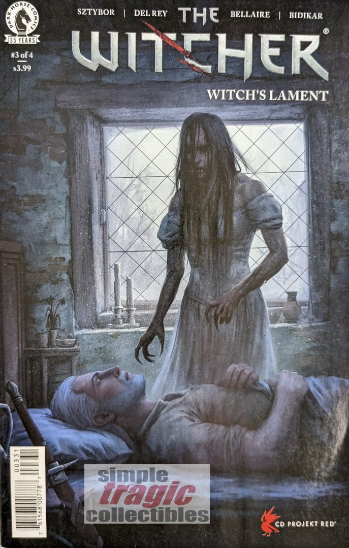 The Witcher: Witch's Lament #3 Comic Book Cover Art by Stefan Koidl