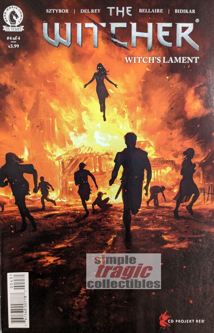 The Witcher: Witch's Lament #4 Comic Book Cover Art by Stefan Koidl