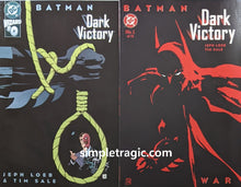 Load image into Gallery viewer, Batman Dark Victory #0-1 Comic Book Cover Art By Tim Sale
