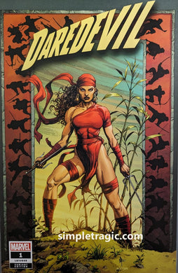 Daredevil 2022 #1 Gary Frank Variant Comic Book Cover ARt
