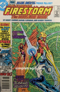 Fury Of Firestorm #24 Comic Book Cover Art