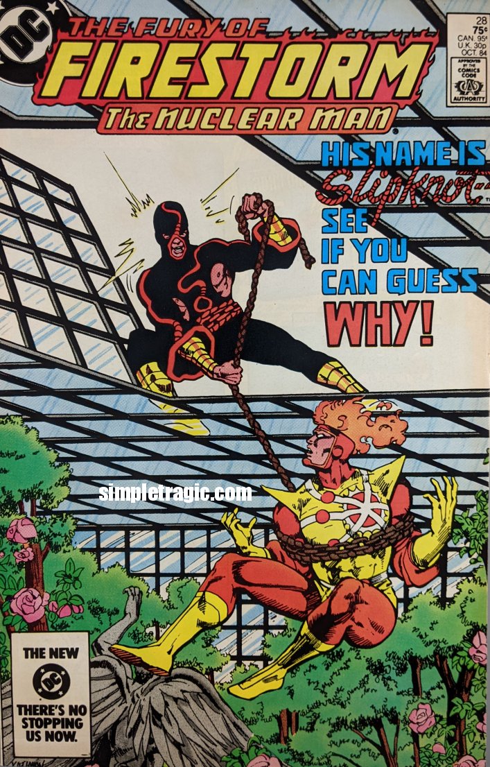 Fury Of Firestorm #28 Comic Book Cover ARt