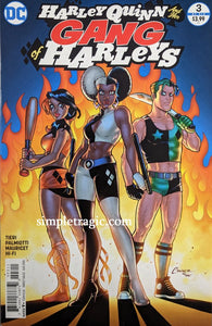 Harley Quinn & Her Gang of Harleys #3 Comic Book Cover Art by Amanda Conner