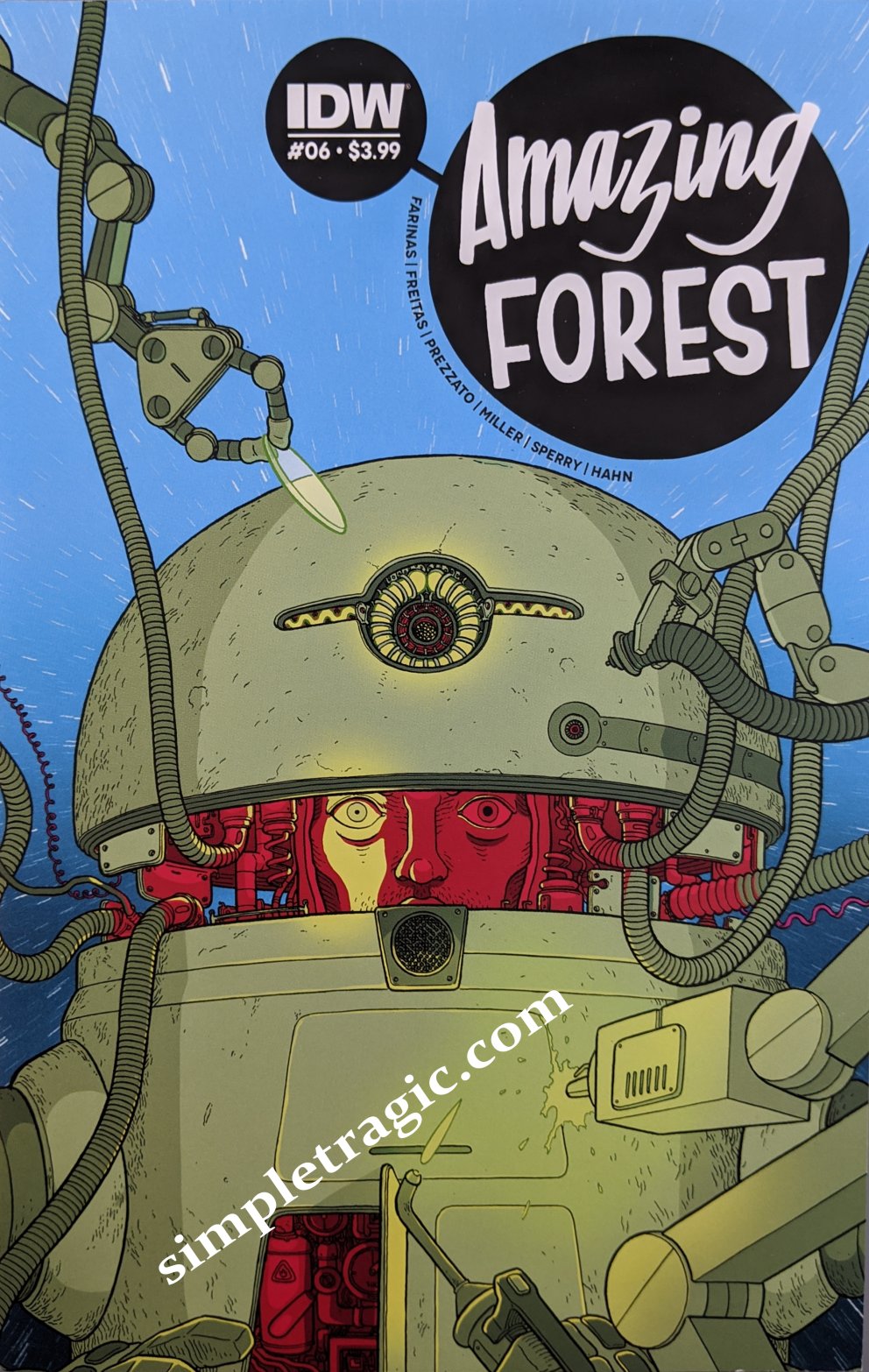 Amazing Forest (2016) #6