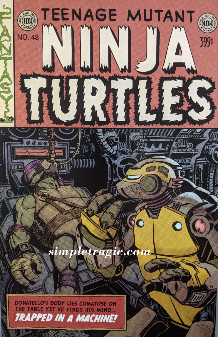 Teenage Mutant Ninja Turtles (2011) #48 (Variant Browne)